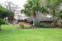 Alldays Safari Lodge - Limpopo, South Africa