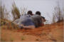 Tusks and Tracks Africa. Hunting South Africa