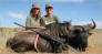 Tusks and Tracks Africa. Hunting South Africa